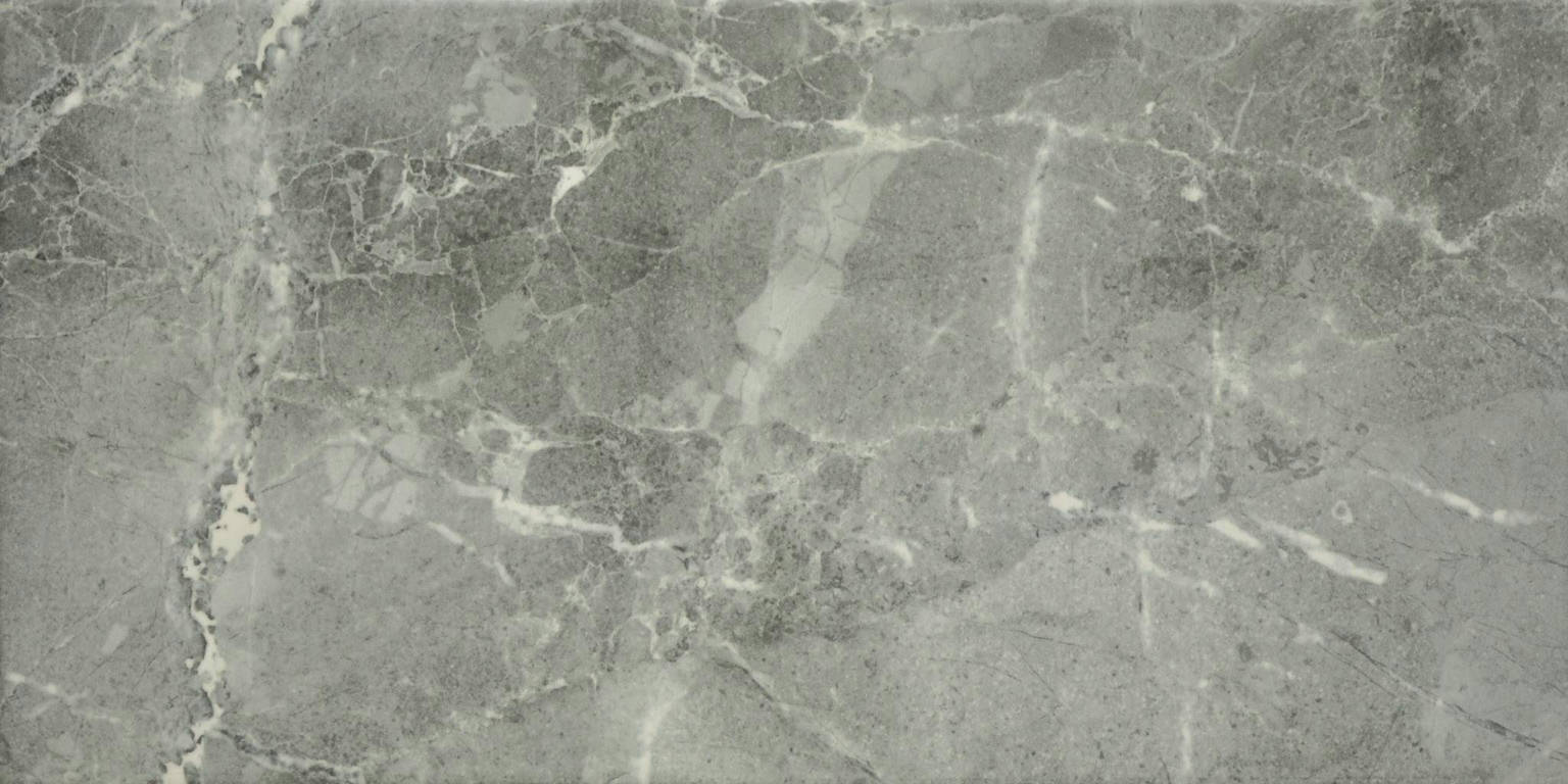 10X20 Carbon | Clon Digital Tile Catalog