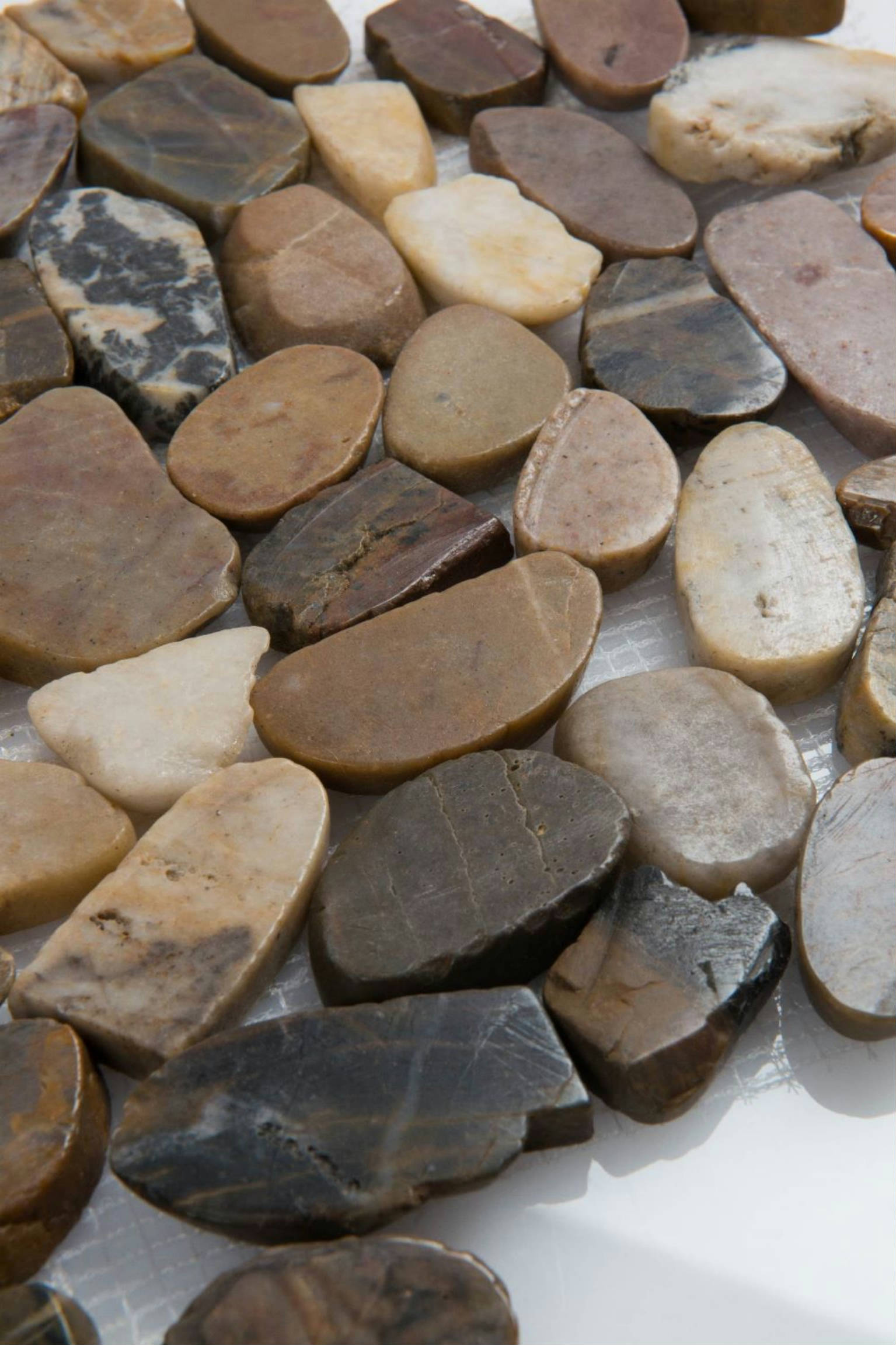 12X12 Flat Bora Wilderness | Clon Digital Tile Catalog