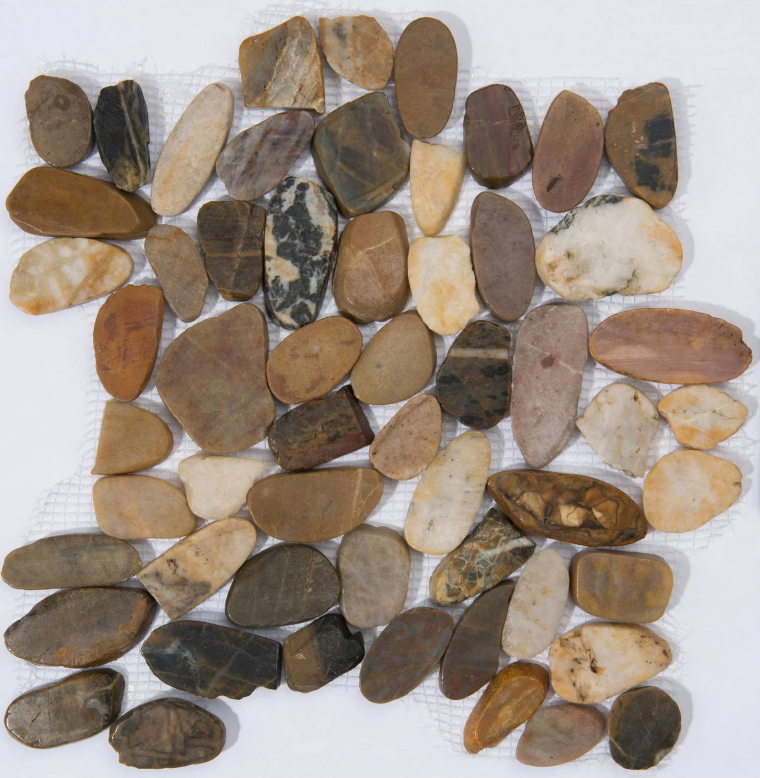 12X12 Flat Bora Wilderness | Clon Digital Tile Catalog