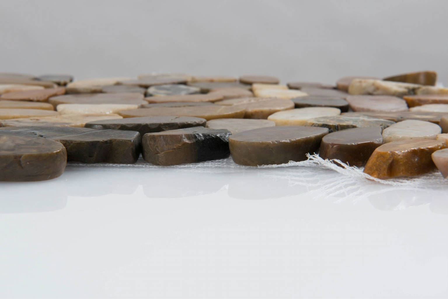 12X12 Flat Bora Wilderness | Clon Digital Tile Catalog