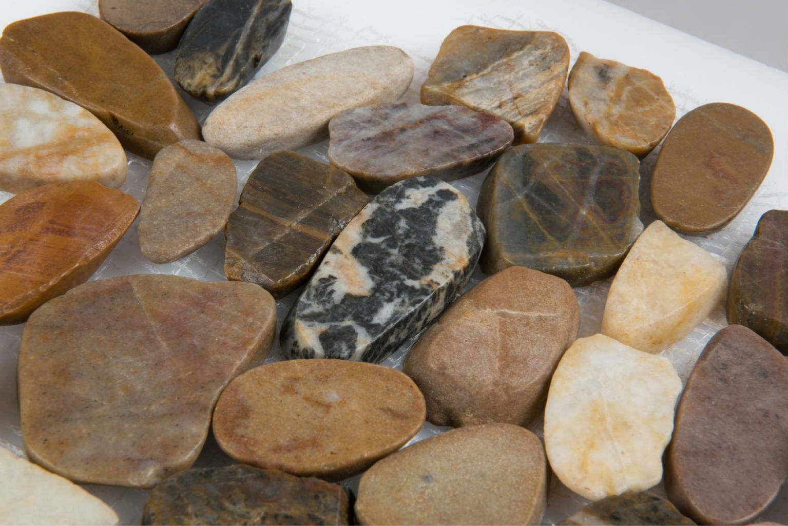 12X12 Flat Bora Wilderness | Clon Digital Tile Catalog