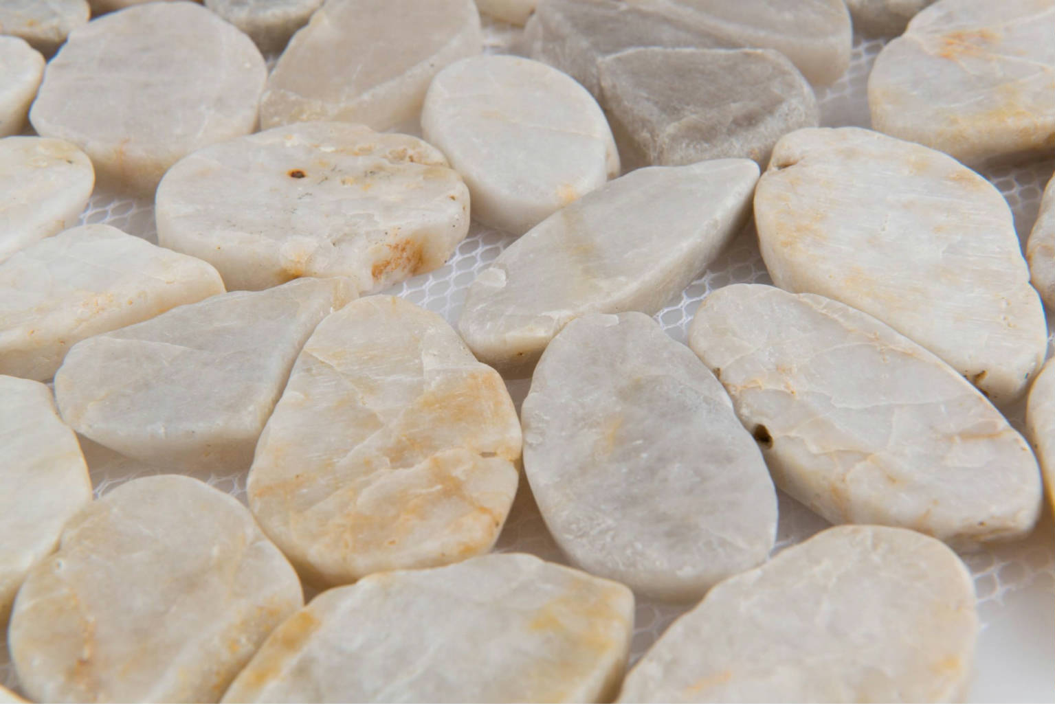 12X12 Flat Fiji Cream | Clon Digital Tile Catalog