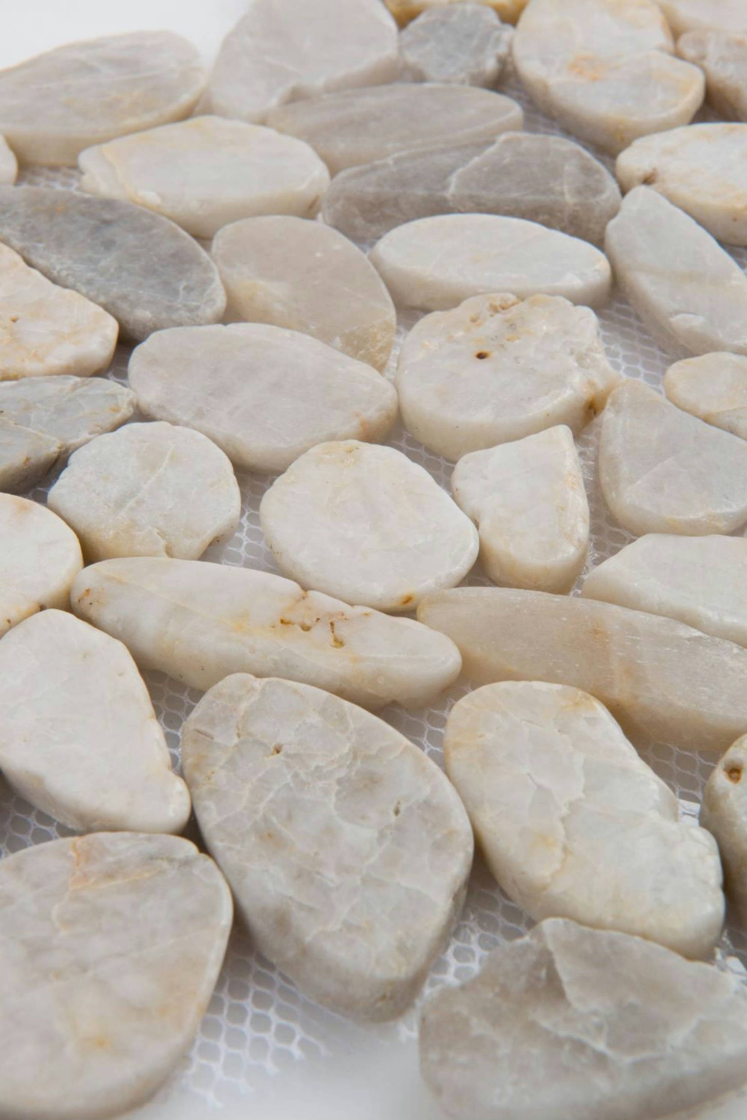 12X12 Flat Fiji Cream | Clon Digital Tile Catalog