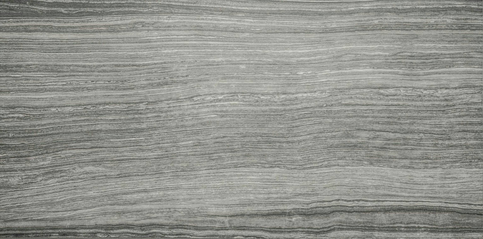 12X24F Carbon Polished | Clon Digital Tile Catalog