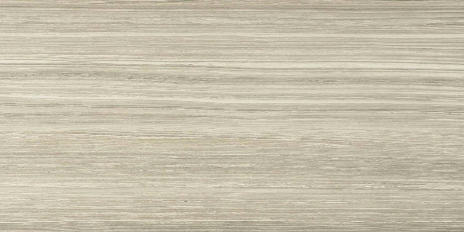 12X24F Clay Polished | Clon Digital Tile Catalog