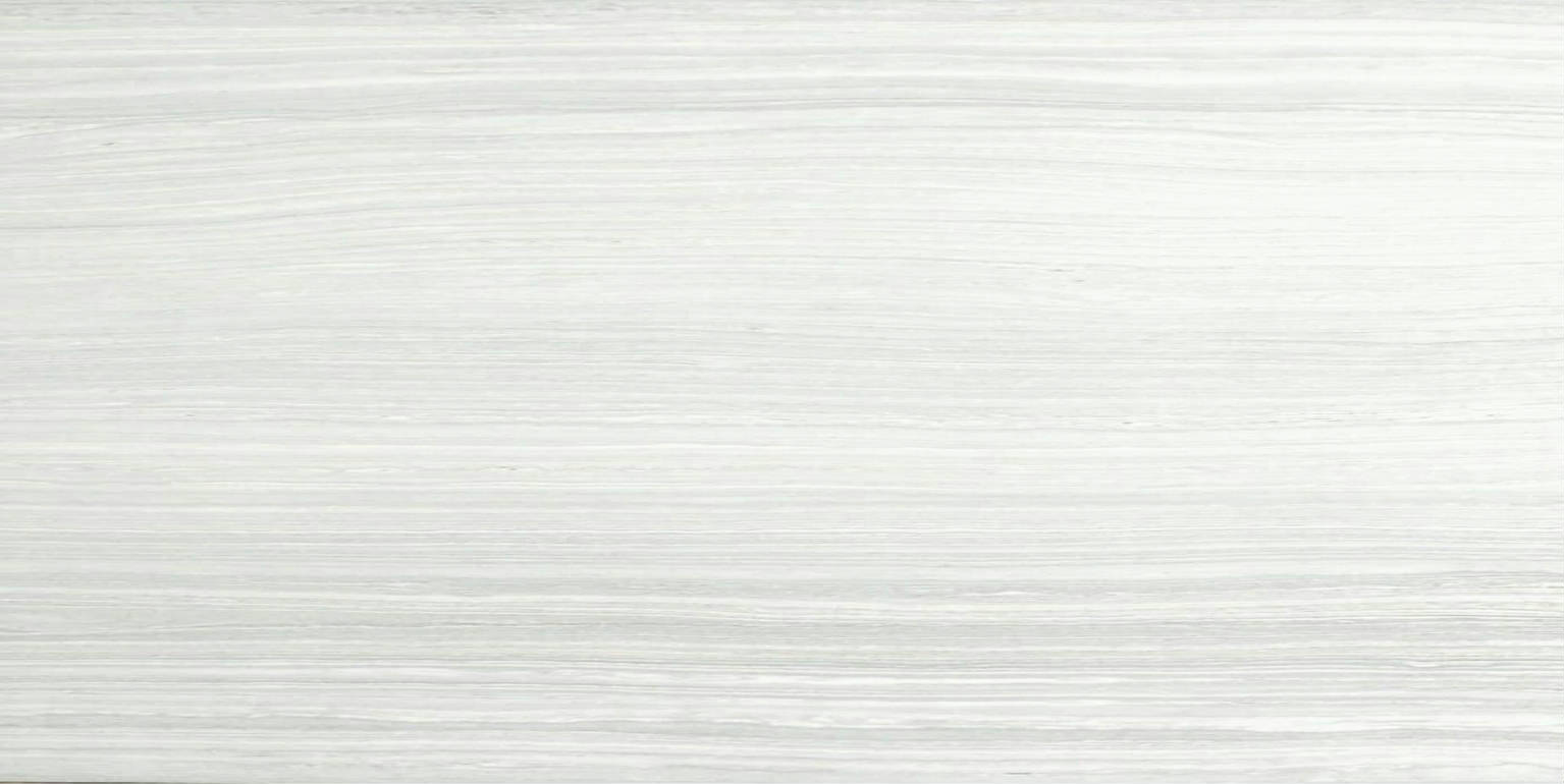 12X24F Ice Polished | Clon Digital Tile Catalog