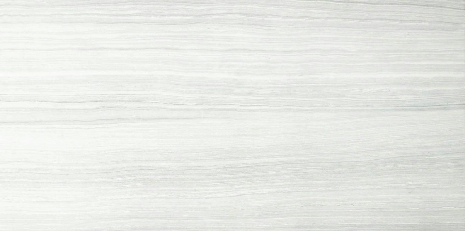 12X24F Ice Polished | Clon Digital Tile Catalog