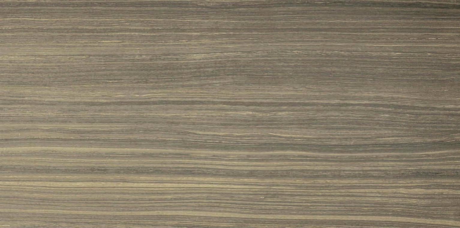 12X24F Natural | Clon Digital Tile Catalog