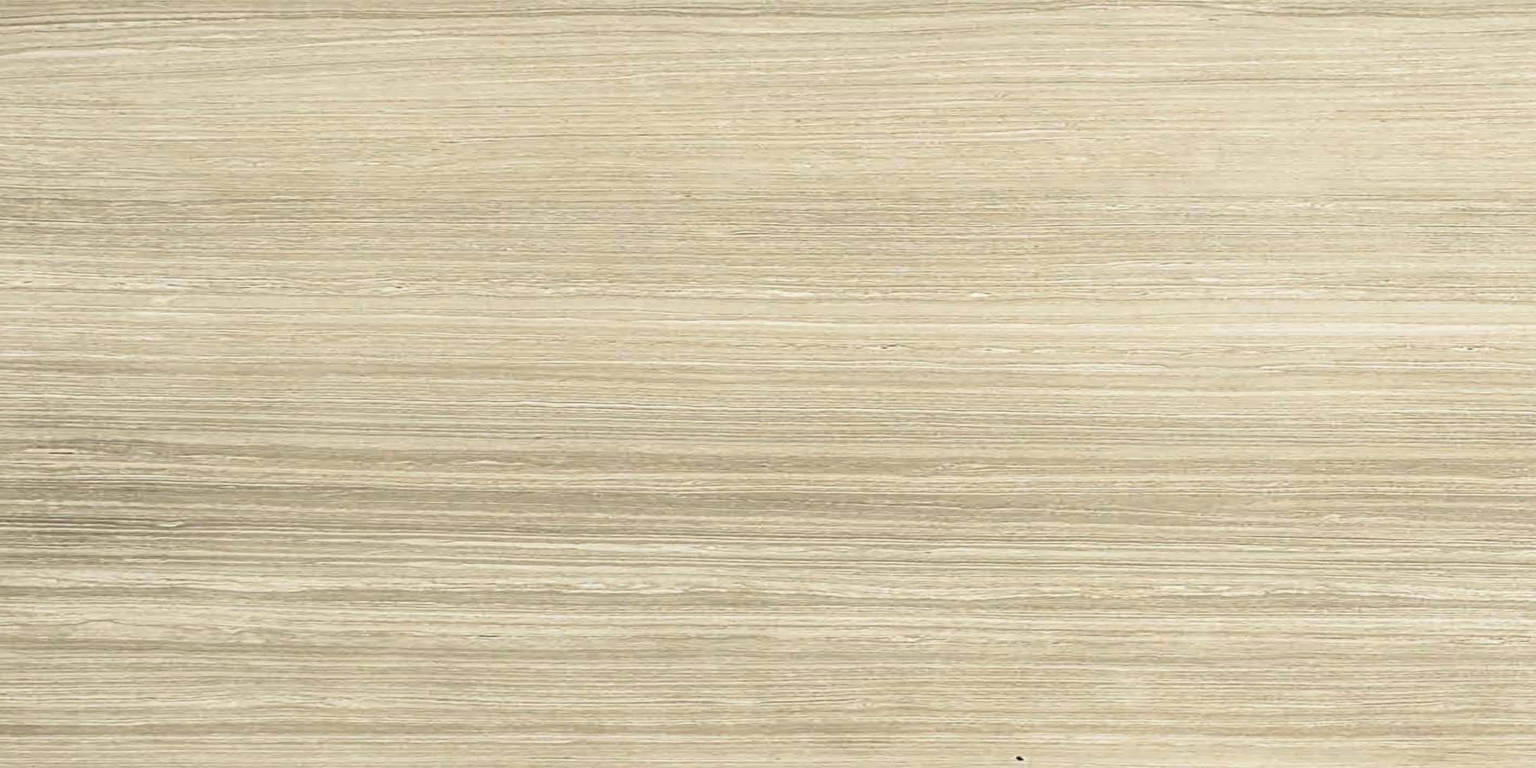 12X24F Sand Polished | Clon Digital Tile Catalog