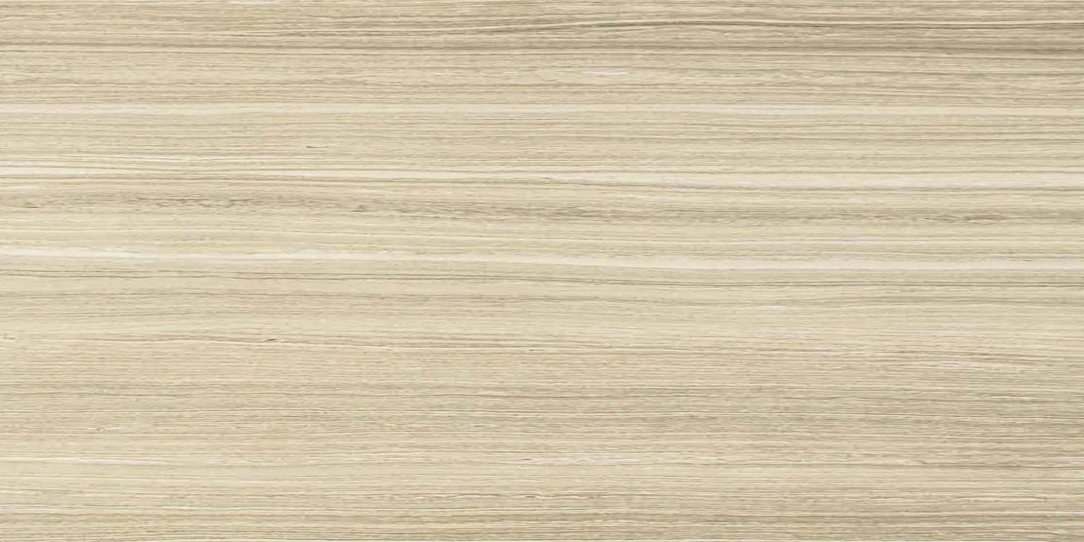 12X24F Sand Polished | Clon Digital Tile Catalog