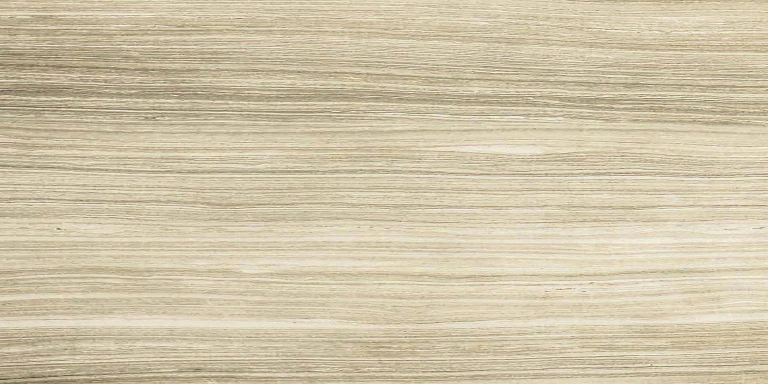 12X24F Sand Polished | Clon Digital Tile Catalog