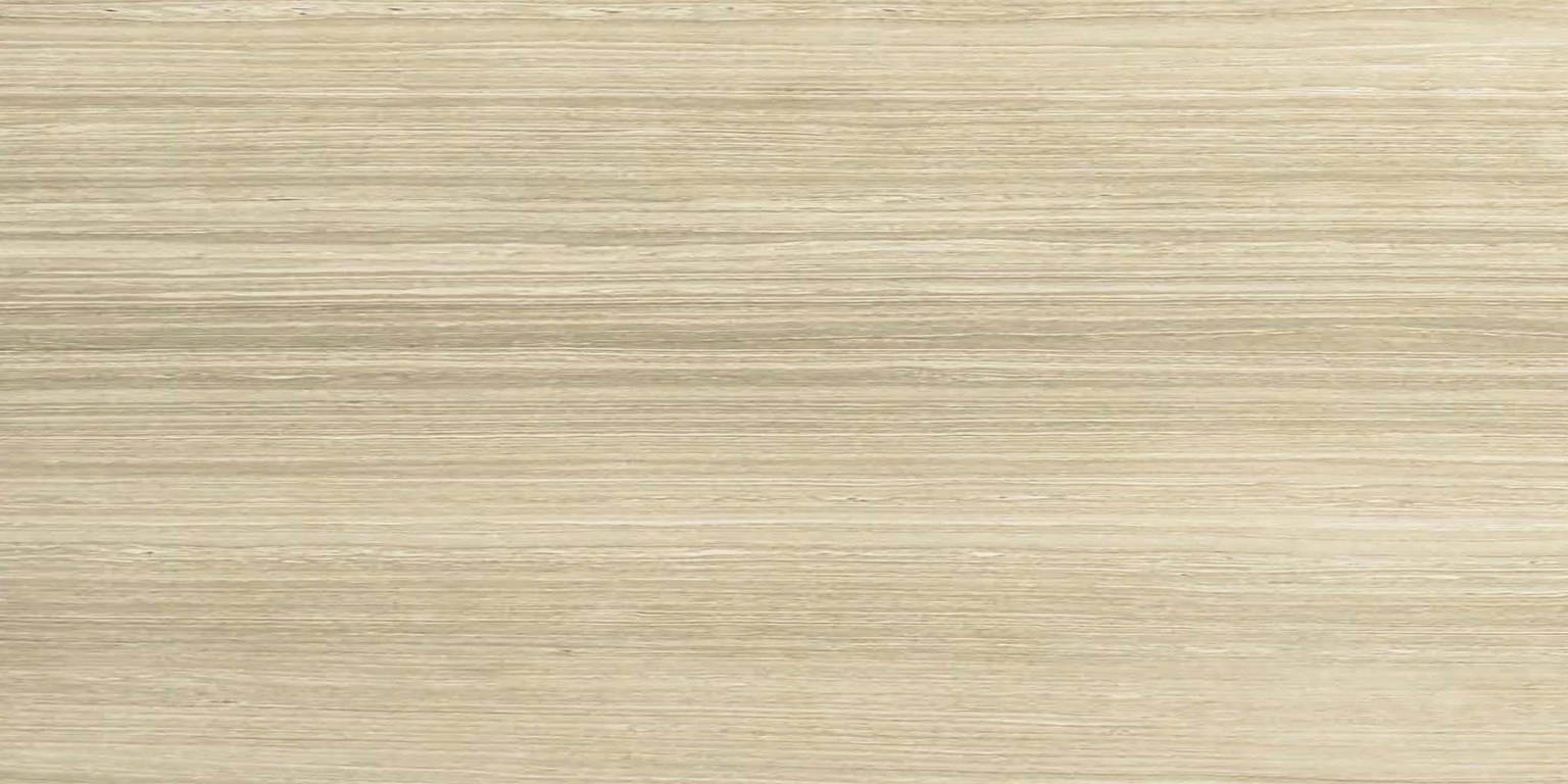 12X24F Sand Polished | Clon Digital Tile Catalog