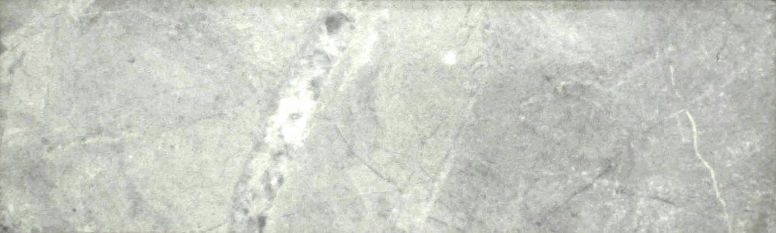 3X10 Mica Wall Bullnose | Clon Digital Tile Catalog