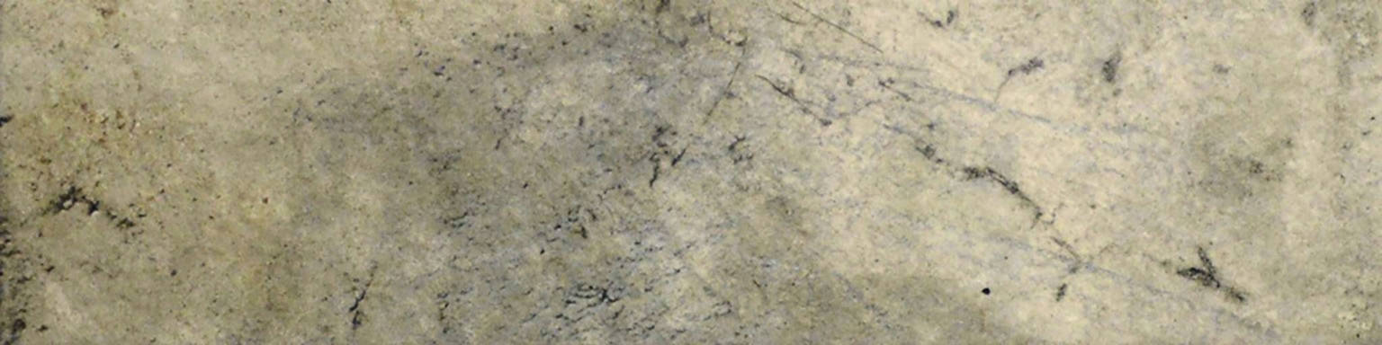 3X12 Grigio Bullnose | Clon Digital Tile Catalog