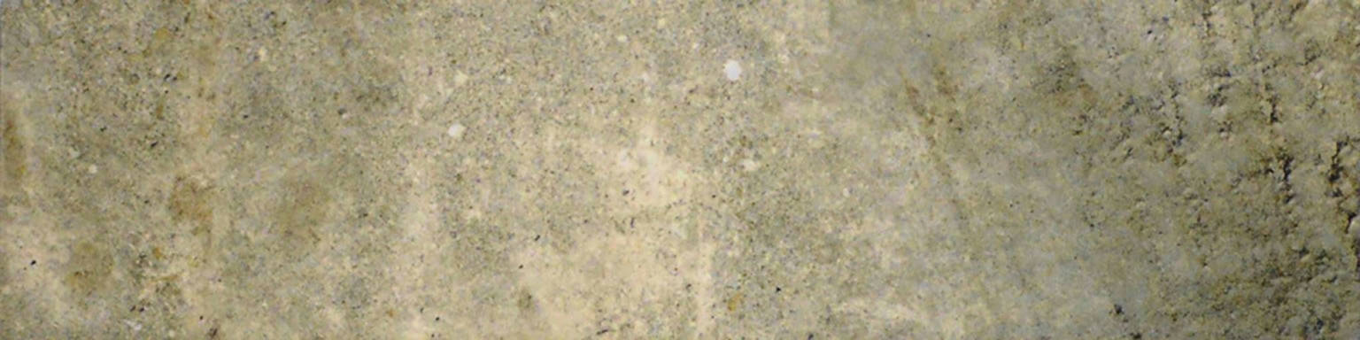 3X12 Grigio Bullnose | Clon Digital Tile Catalog