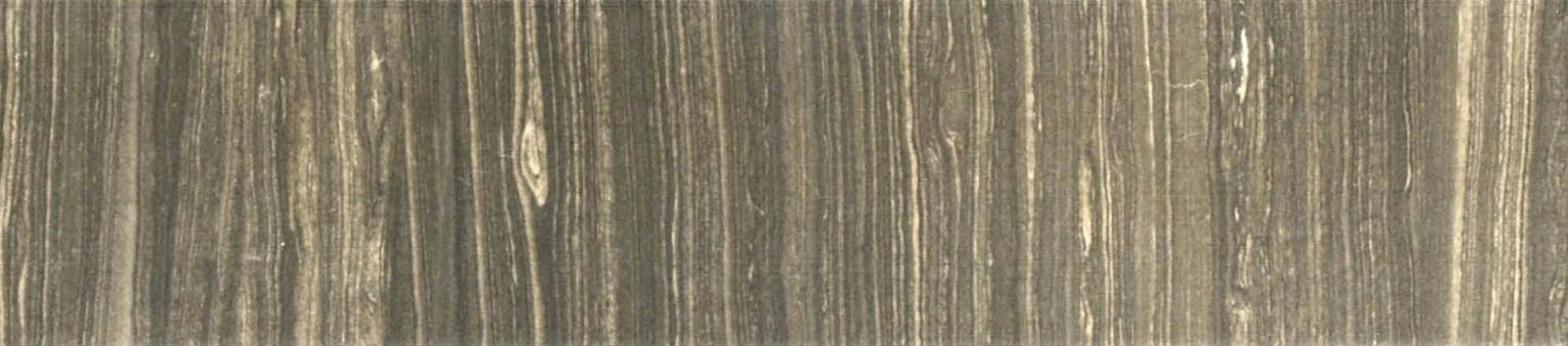 3X12 Natural Bullnose | Clon Digital Tile Catalog