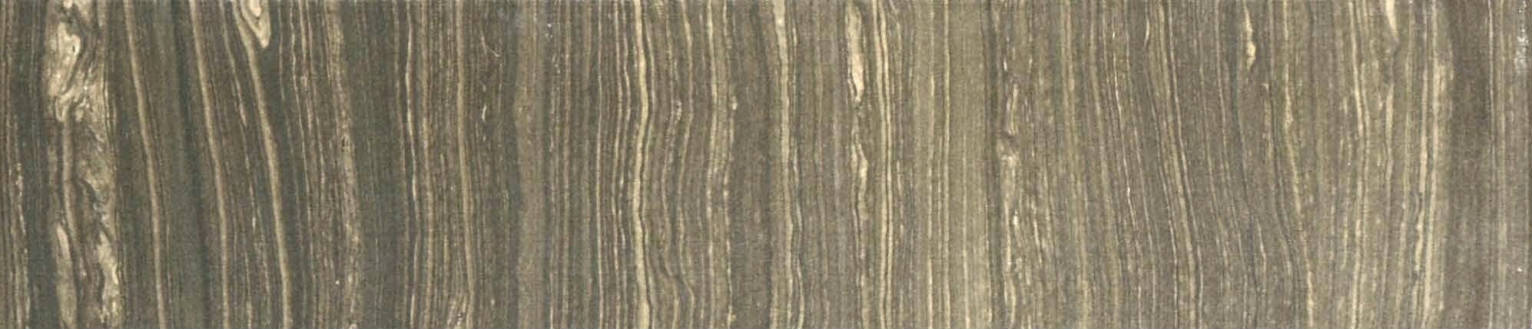 3X12 Polished Natural Bullnose | Clon Digital Tile Catalog