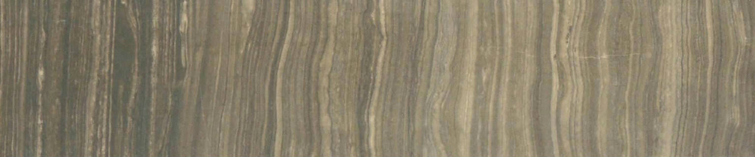 3X12 Polished Natural Bullnose | Clon Digital Tile Catalog