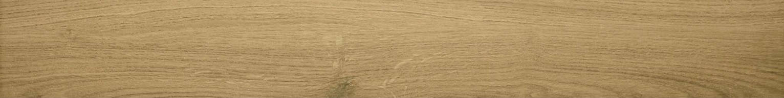 3X24 Acadia Natural Bullnose | Arley Wholesale