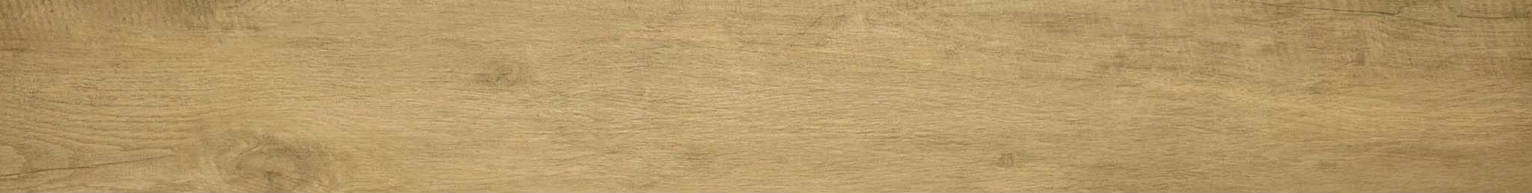 3X24 Acadia Natural Bullnose | Arley Wholesale
