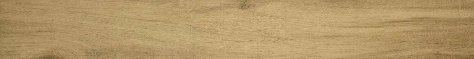 3X24 Acadia Natural Bullnose | Arley Wholesale