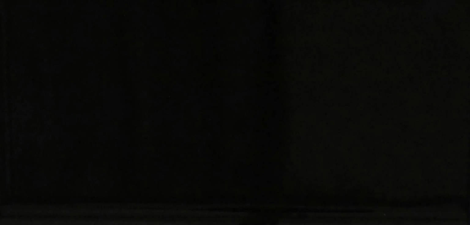 4X8 Black Glossy Bullnose | Arley Wholesale