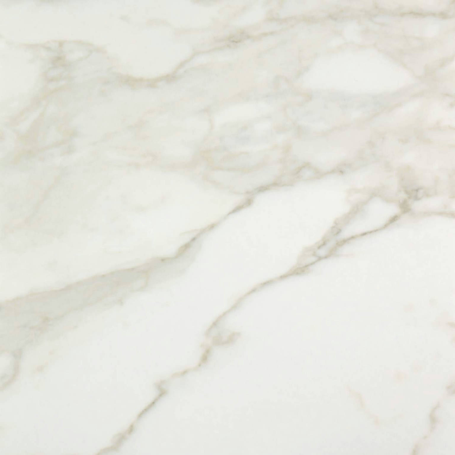 Amalfi Calacatta Honed 24X24 | Arley Wholesale