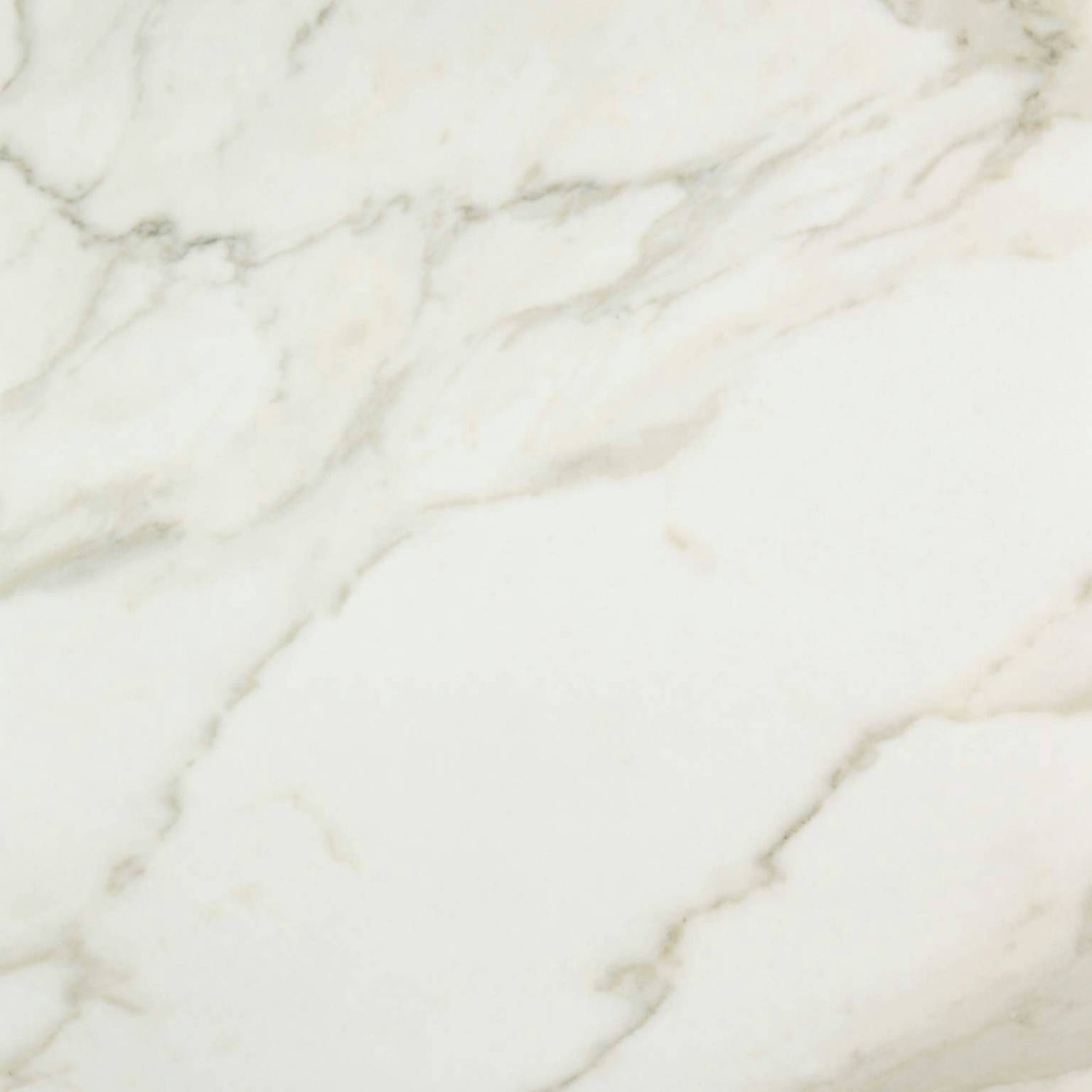 Amalfi Calacatta Honed 24X24 | Arley Wholesale