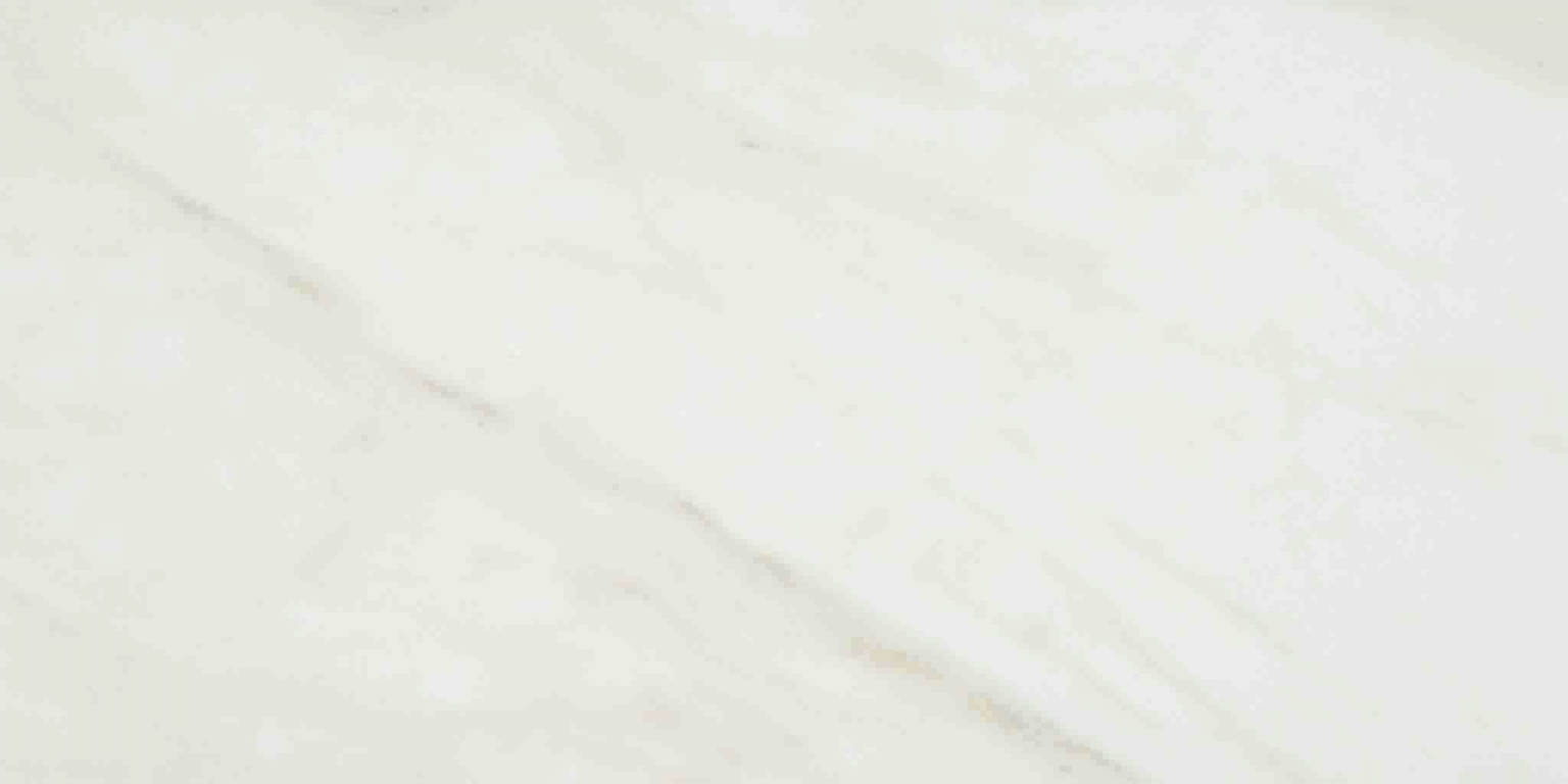 Amalfi Calacatta Honed 24X48 | Arley Wholesale