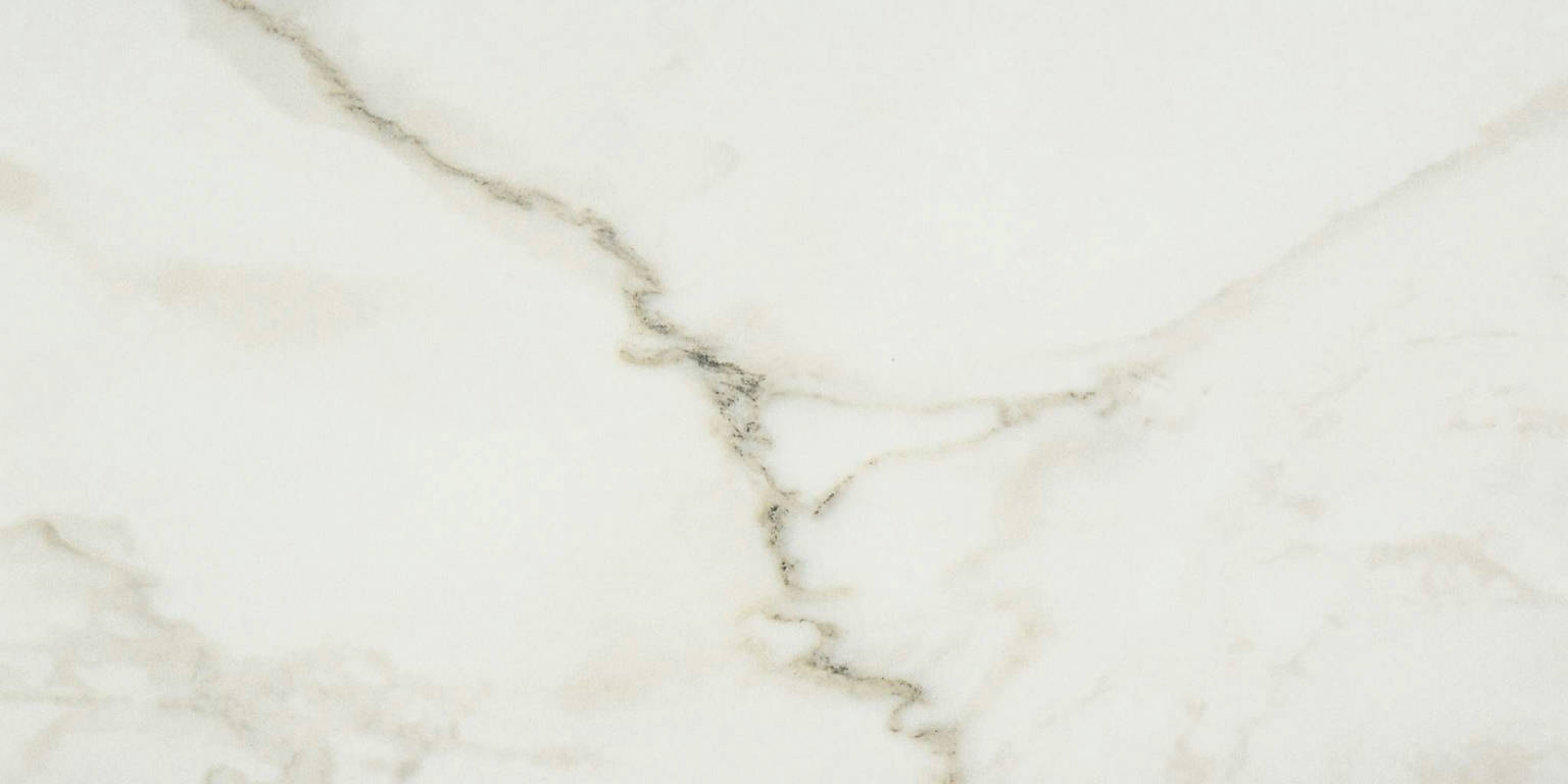 Amalfi Calacatta Honed 24X48 | Arley Wholesale
