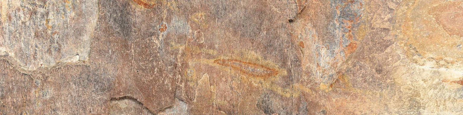 Annapurna Beige 4X12 | Arley Wholesale