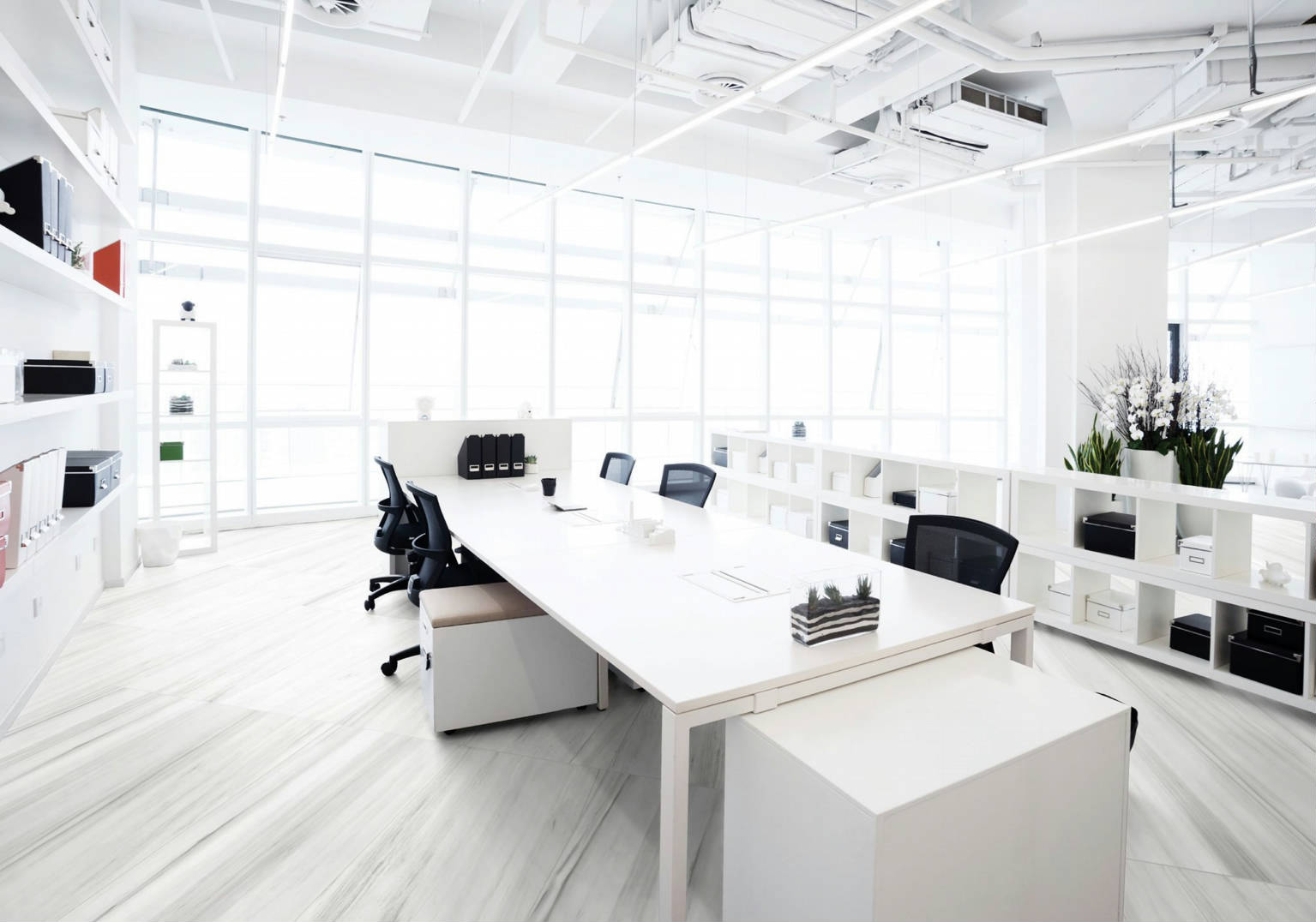 Ardor Devotion | Clon Digital Tile Catalog