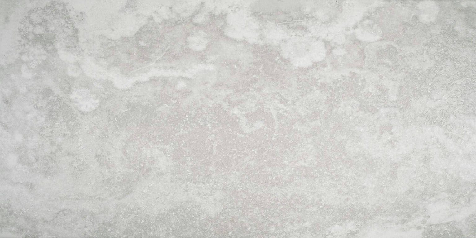 Argento 12X24 | Arley Wholesale