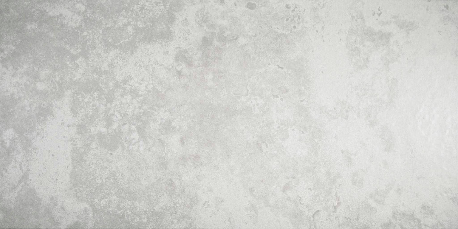 Argento 12X24 | Arley Wholesale