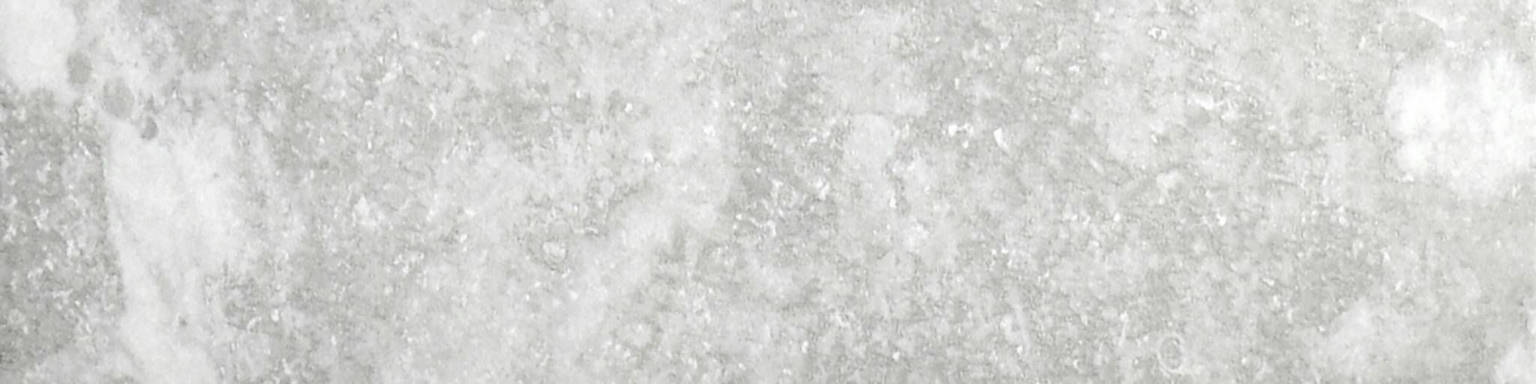 Argento 3X12 Bullnose | Arley Wholesale