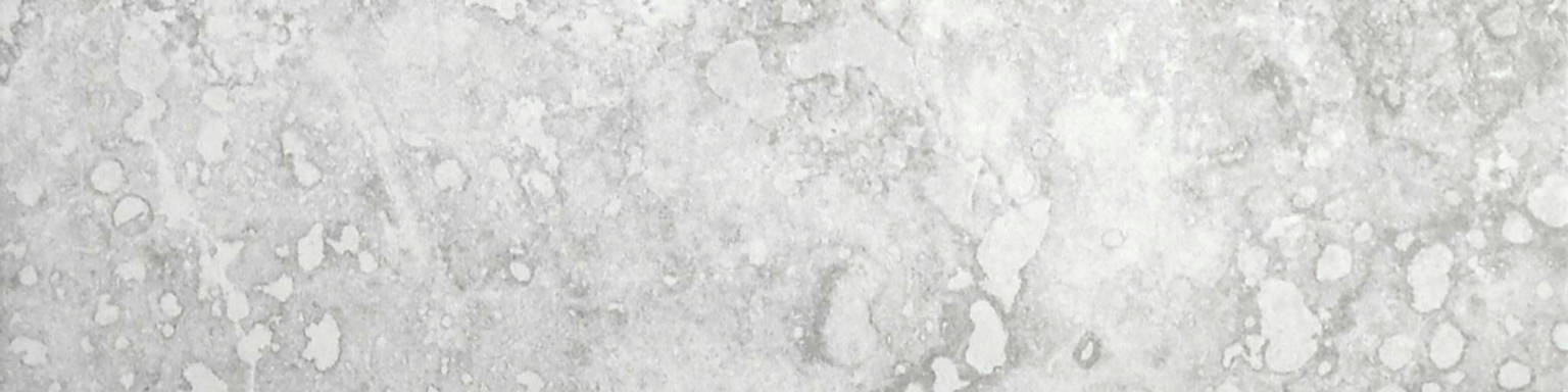 Argento 3X12 Bullnose | Arley Wholesale