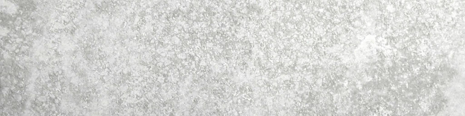 Argento 3X12 Bullnose | Arley Wholesale