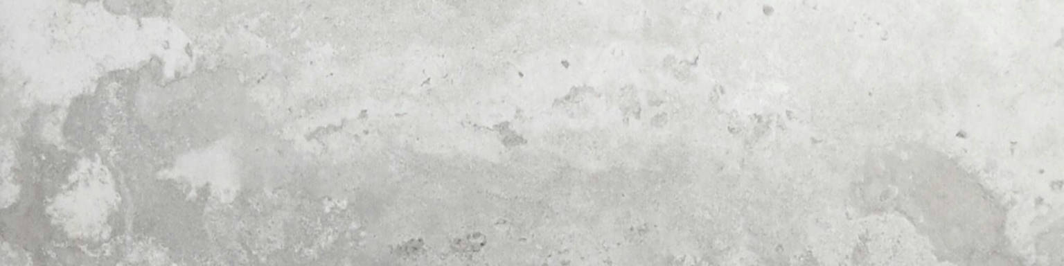 Argento 3X12 Bullnose | Arley Wholesale