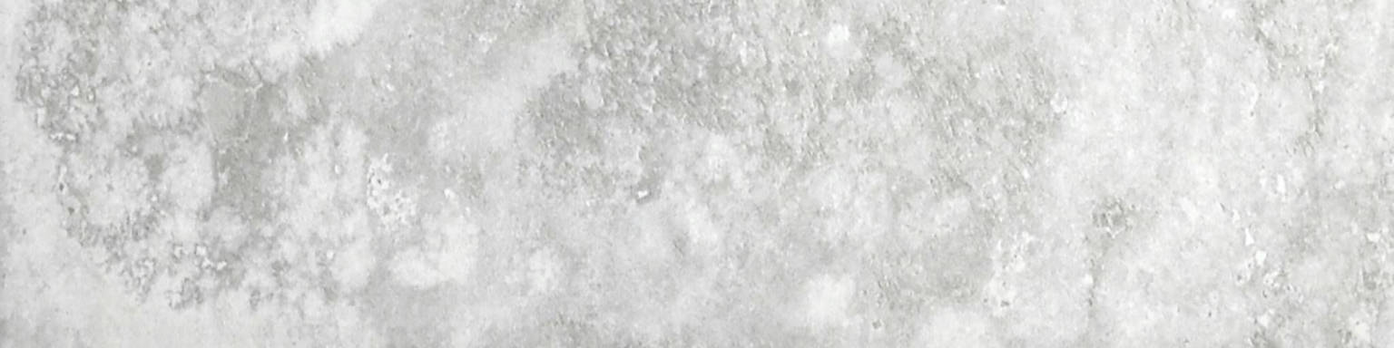 Argento 3X12 Bullnose | Arley Wholesale