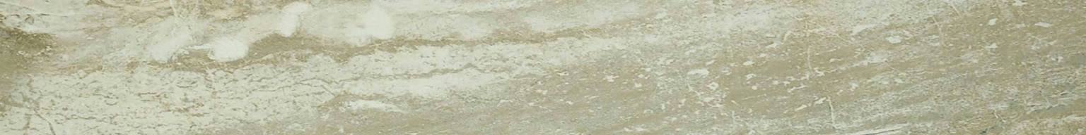 Congo 3X24 Sb | Arley Wholesale