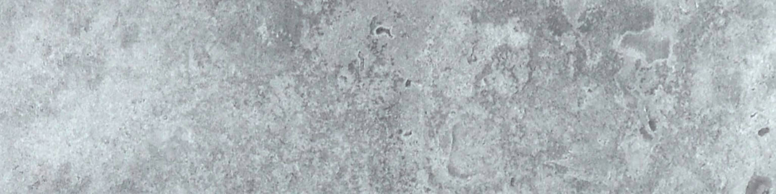 Grigio 3X12 Bullnose | Arley Wholesale