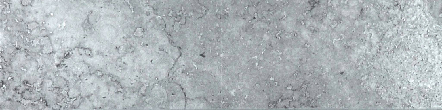 Grigio 3X12 Bullnose | Arley Wholesale