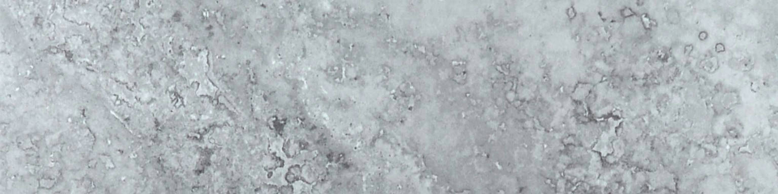 Grigio 3X12 Bullnose | Arley Wholesale