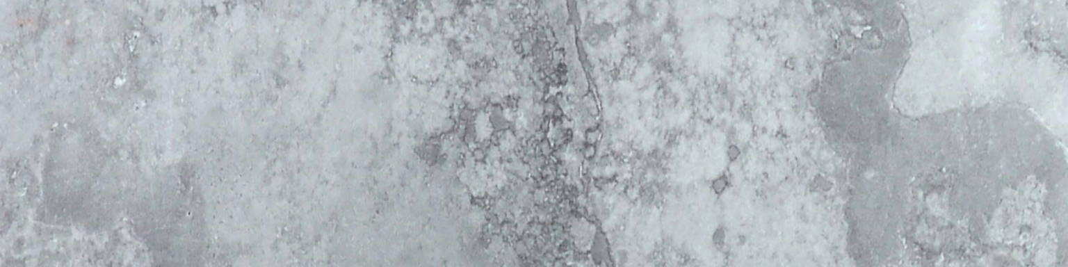 Grigio 3X12 Bullnose | Arley Wholesale