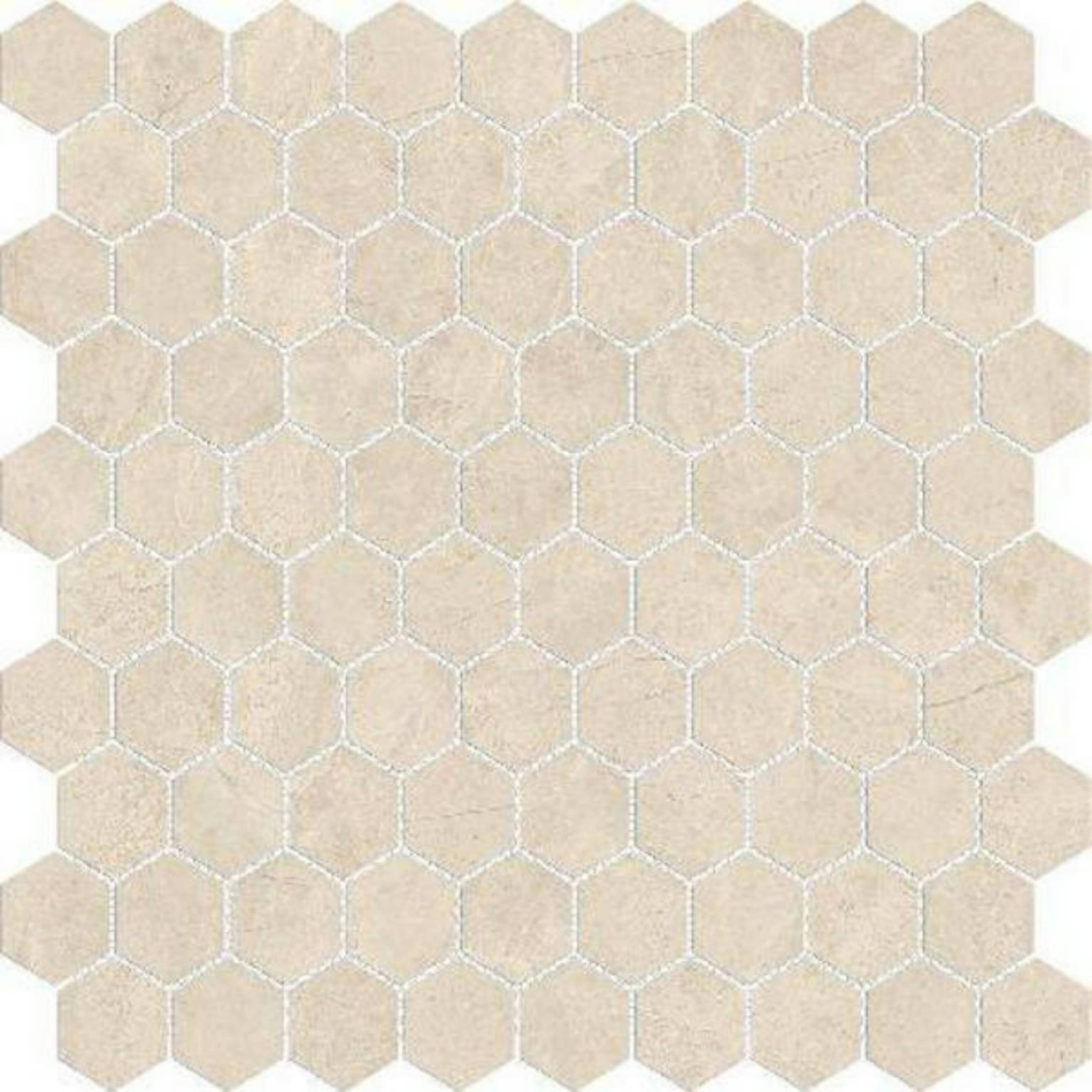 Polished 1 | Arley Wholesale