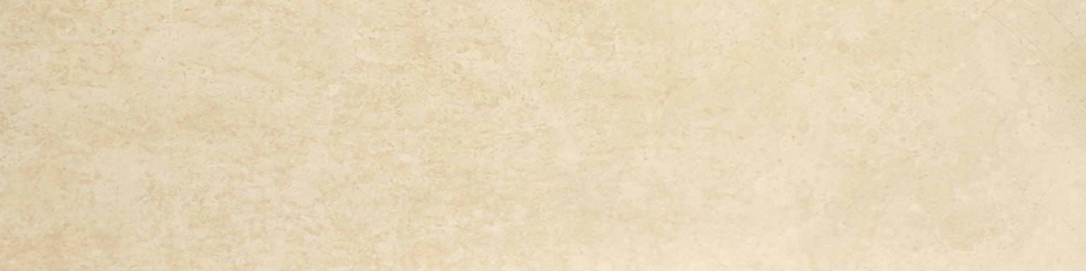 Polished 3X12 Affection Sb | Arley Wholesale