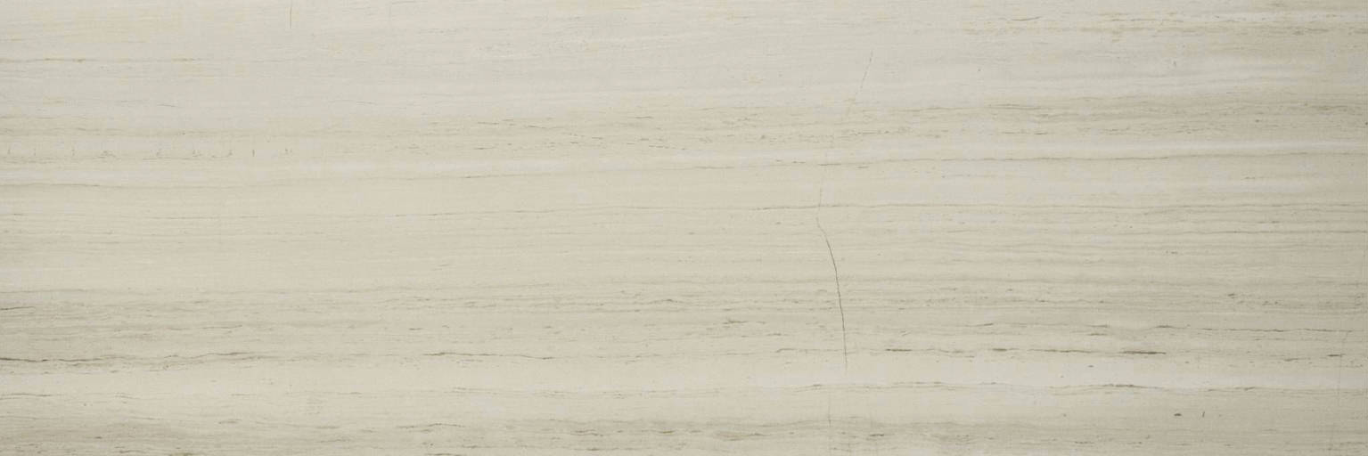 Polished Passion 4X12 | Arley Wholesale