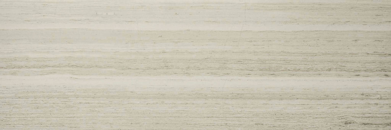 Polished Passion 4X12 | Arley Wholesale