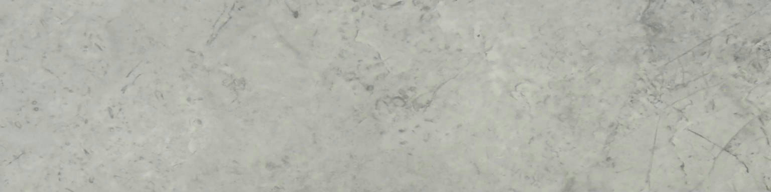 Roma Argento Honed 3X12 Bullnose | Arley Wholesale