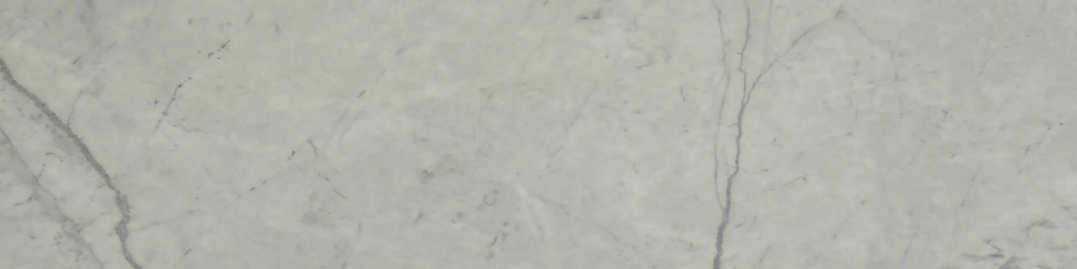 Roma Argento Honed 3X12 Bullnose | Arley Wholesale